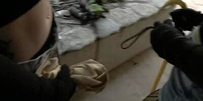 Bff bitches in a group sex action