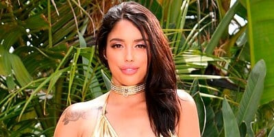 Brutal anal in the missionary pose with a bitchy Vanessa Sky