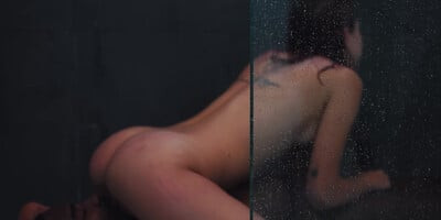 Haley Reed - Wet Dreams