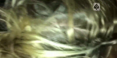 Hooker wife is Cock Sucker2