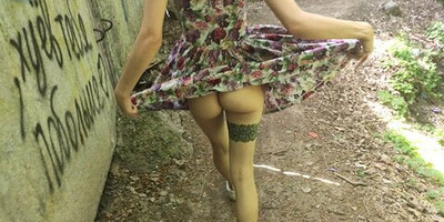 lifted her skirt in public and sucked (PARK)