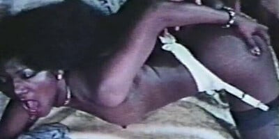 Nylons & Stockings in Classics 373