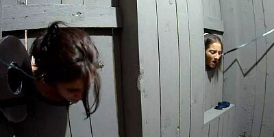 Wild babes are offering their pussies to the complete strangers